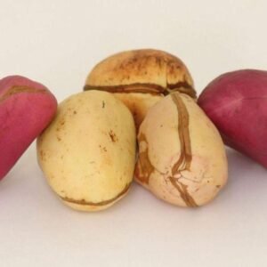 African kola nut 1lb