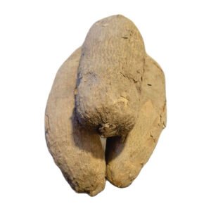 Ghana Yam (Punjo) - 1 Tuber | $6.99/LB