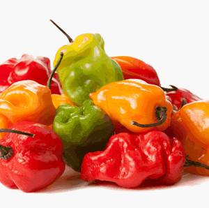 Habanero Hot Peppers - 1LB